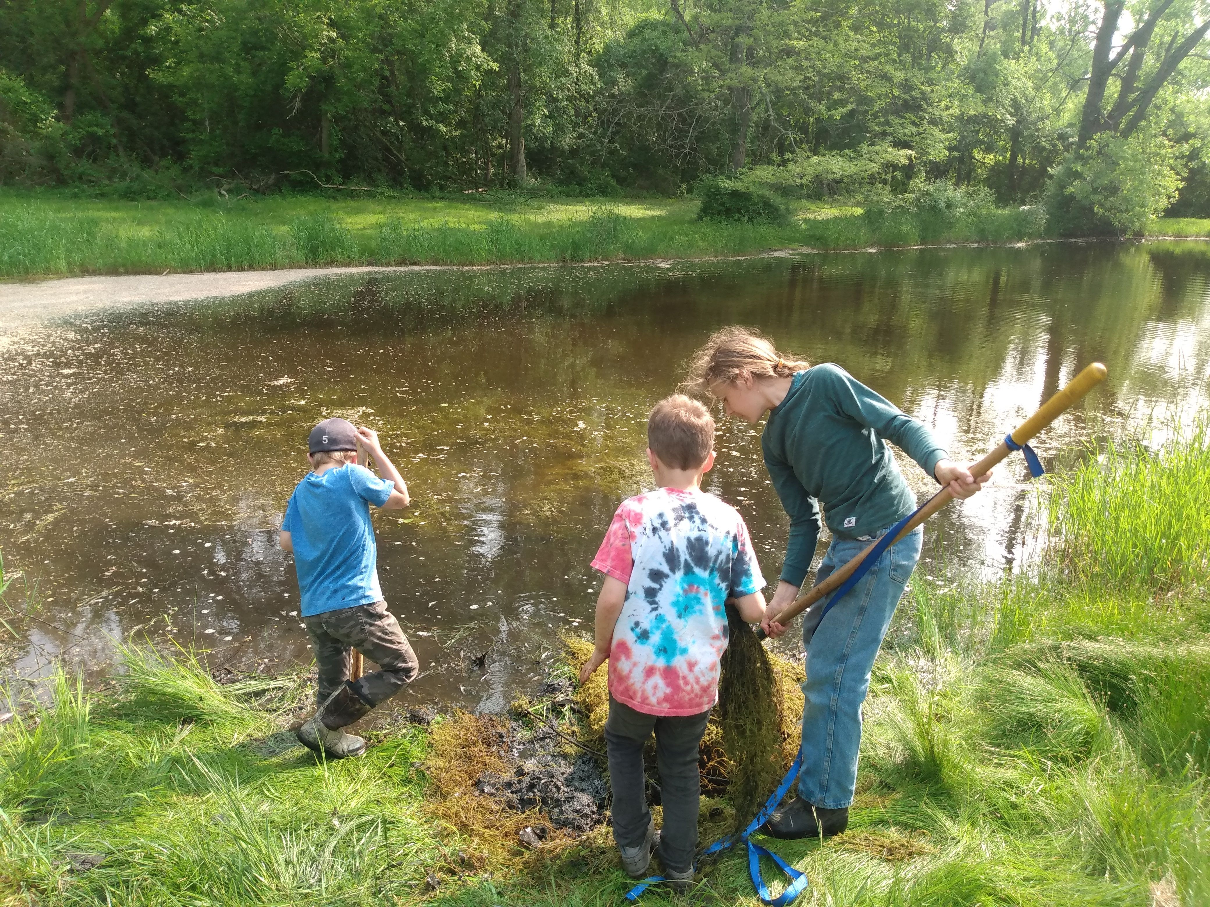 kids gathering muck from pond for garden beds