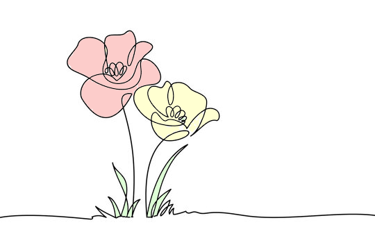 Simple hand drawn like picture of a flower