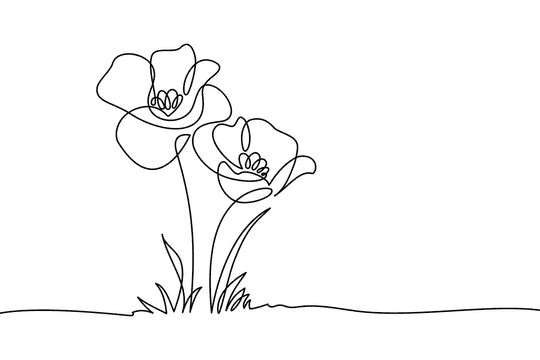 Simple hand drawn like picture of a flower
