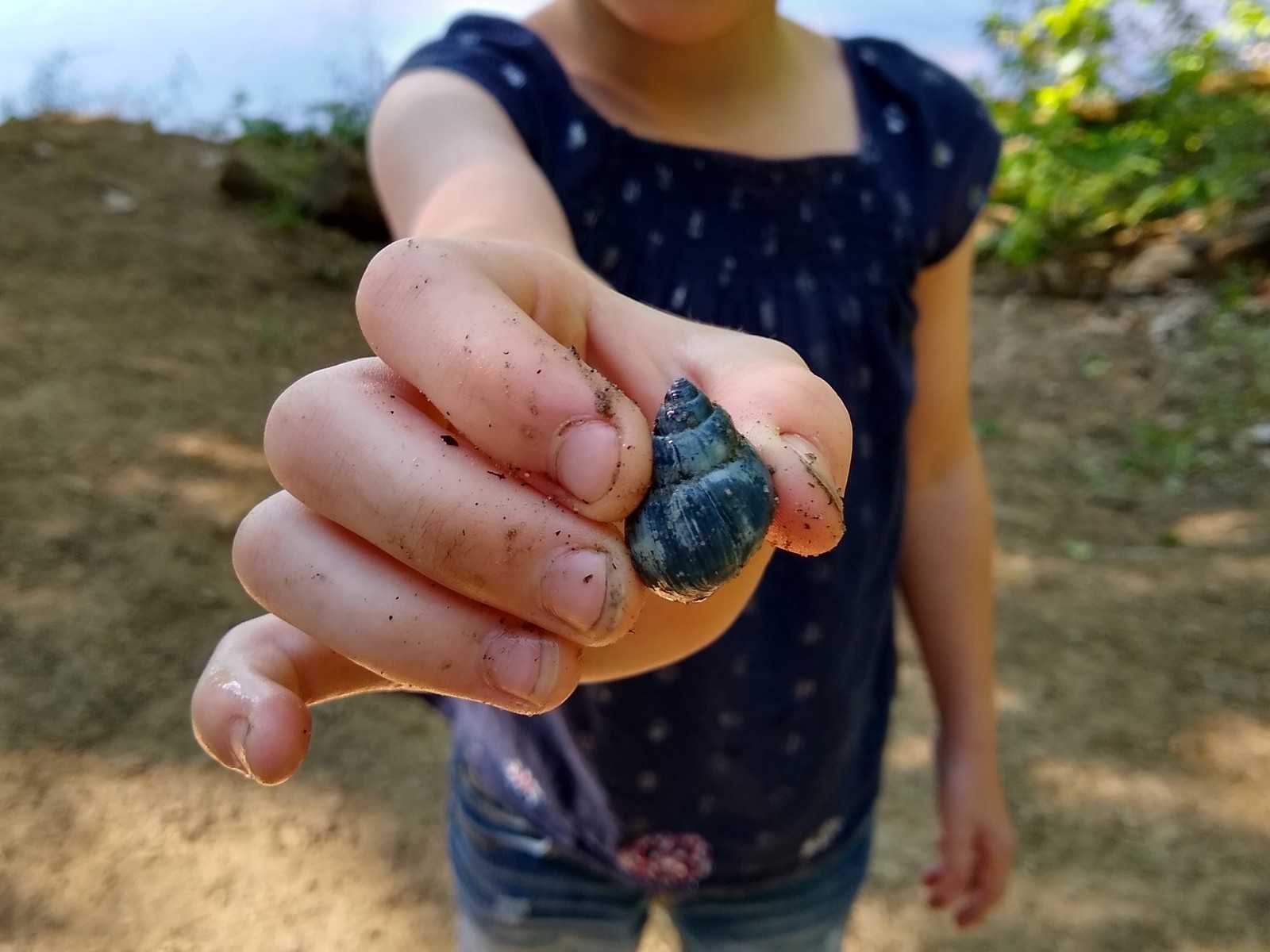 child holding a snail by the edge of a pond